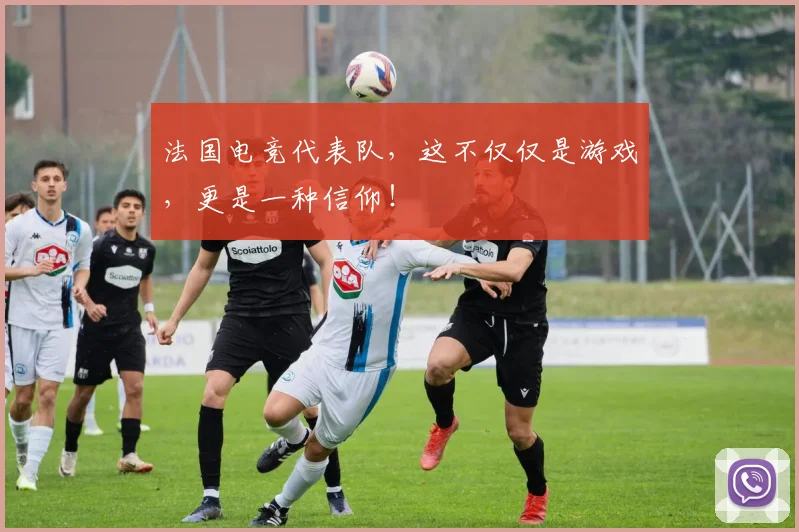 法国电竞代表队，这不仅仅是游戏，更是一种信仰！