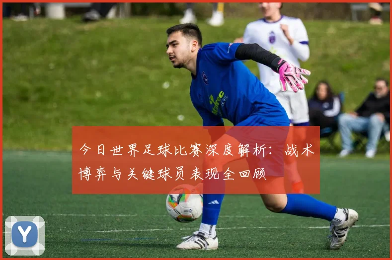 今日世界足球比赛深度解析:战术博弈与关键球员表现全回顾